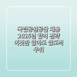 국립공원공단 채용, 2025년 합격 전략: 이것만 알아도 압도적 우위!