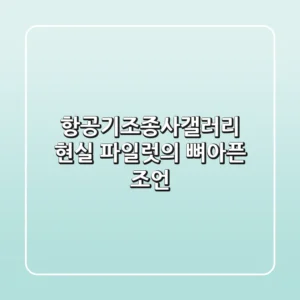항공기조종사갤러리, 현실 파일럿의 뼈아픈 조언