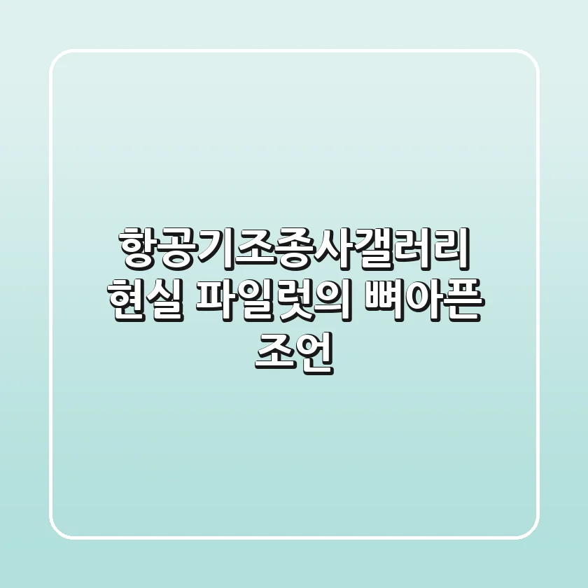 항공기조종사갤러리, 현실 파일럿의 뼈아픈 조언
