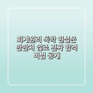 회계원리 독학? 현실은 만만치 않죠! 진짜 합격 비법 공개