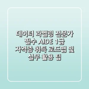 "데이터 라벨링 전문가 필수", AIDE 1급 자격증 취득 로드맵 및 실무 활용 팁