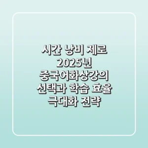 "시간 낭비 제로", 2025년 중국어화상강의 선택과 학습 효율 극대화 전략